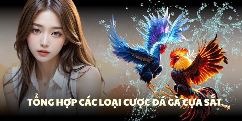 Có hai loại cược chính được giới thiệu đá gà cựa sắt